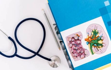 بدن از کجا پیر می شود