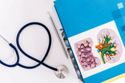 بدن از کجا پیر می شود