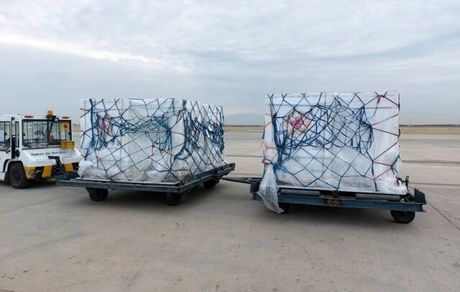 یازدهمین محموله واکسن کرونا وارد کشور شد