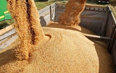 اجرای موفقیت‌آمیز طرح یکپارچه‌سازی واردات و توزیع نهاده‌های دامی با ارز دولتی