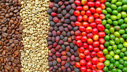 دانستنی های قهوه