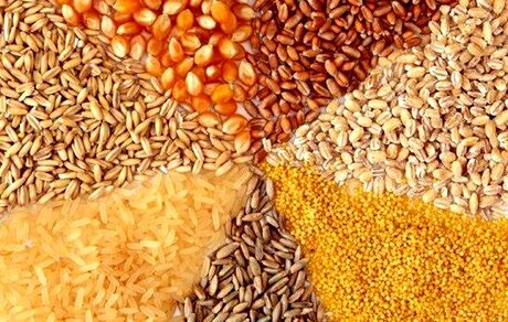 موجودی خوراک دام و طیور در گمرک ۲.۶ میلیون تن است