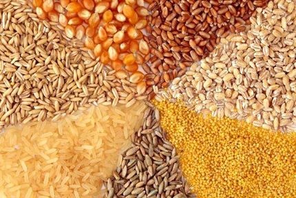 موجودی خوراک دام و طیور در گمرک ۲.۶ میلیون تن است