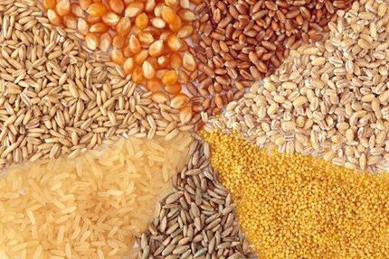 موجودی خوراک دام و طیور در گمرک ۲.۶ میلیون تن است
