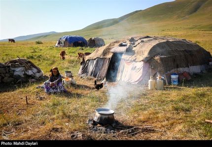 تامین ۱۰۰ هزار تن نهاده دامی برای عشایر/ راه اندازی ایستگاه های خرید دام عشایری