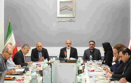 کاهش ریسک تمرکز منابع و توسعه بازاریابی میدانی، ۲ رکن ارتقای جایگاه بانک مسکن است
