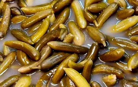 فواید آب خیارشور برای سلامتی