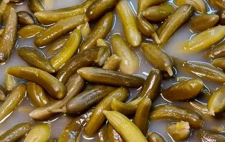فواید آب خیارشور برای سلامتی