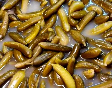فواید آب خیارشور برای سلامتی