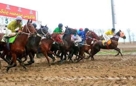 پایان هفته یازدهم مسابقات اسبدوانی پاییزه - زمستانه گنبدکاووس