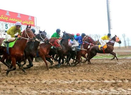 پایان هفته یازدهم مسابقات اسبدوانی پاییزه - زمستانه گنبدکاووس