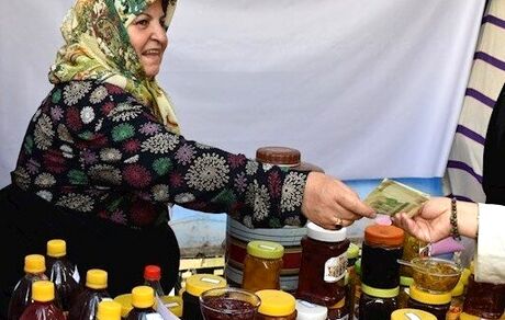 حل مشکل ضمانت بانکی صاحبان مشاغل خانگی