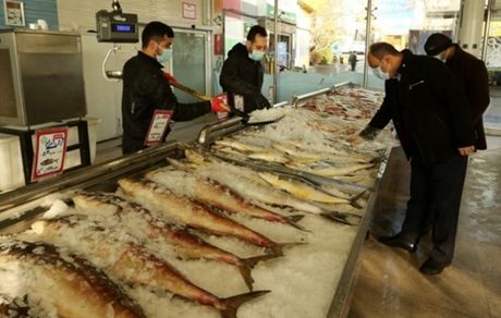 قیمت ۱۱۰ نوع ماهی و آبزیان اعلام شد+ نرخنامه