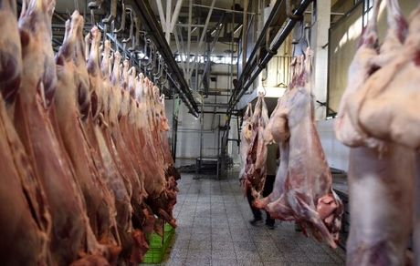 عباسی: گوشت از دامدار ۶۵ تا ۷۵ هزار تومان خریداری می‌شود