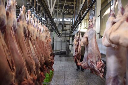 عباسی: گوشت از دامدار ۶۵ تا ۷۵ هزار تومان خریداری می‌شود