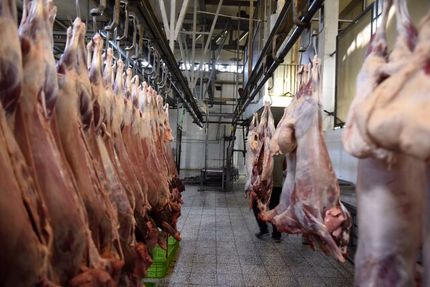 عباسی: گوشت از دامدار ۶۵ تا ۷۵ هزار تومان خریداری می‌شود