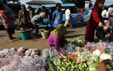 قیمت جهانی موادغذایی سقوط کرد!