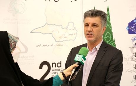 تولید پنبه در کشور، ۲۰ درصد بیشتر می‌شود