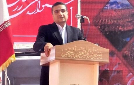 فرآوری زرشک و زعفران به معنای صرفه جویی در هزینه‌های بهداشت و درمان است