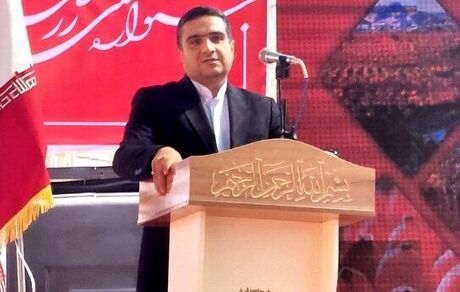 فرآوری زرشک و زعفران به معنای صرفه جویی در هزینه‌های بهداشت و درمان است
