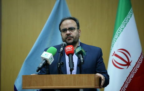 صید اختصاصی کوسه ماهیان در خلیج‌فارس و دریای‌عمان ممنوع شد