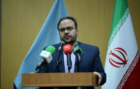 صید اختصاصی کوسه ماهیان در خلیج‌فارس و دریای‌عمان ممنوع شد