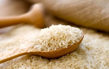 ده خرداد آغاز ثبت سفارش دوباره برنج