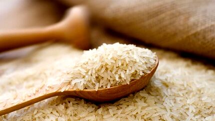 واردکنندگان چشم انتظار تخصیص ارز ترجیحی برای واردات برنج