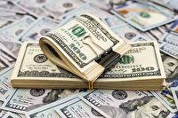 قیمت دلار هم افزایش یافت