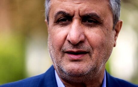 اسلامی: مانعی برای همکاری با آژانس بین‌المللی انرژی اتمی نیست