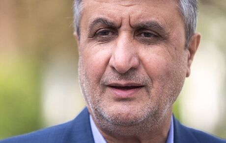 اسلامی: مانعی برای همکاری با آژانس بین‌المللی انرژی اتمی نیست