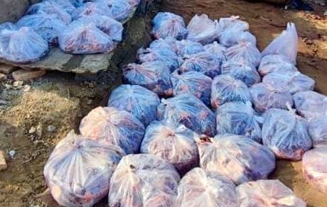 کشف کشتارگاه اسب و الاغ در اسلامشهر