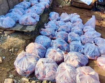 کشف کشتارگاه اسب و الاغ در اسلامشهر