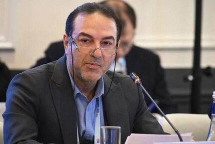 وزارت بهداشت: خطر همه گیری بیماری هانتاویروس بسیار پایین است