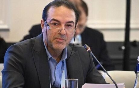 وزارت بهداشت: خطر همه گیری بیماری هانتاویروس بسیار پایین است