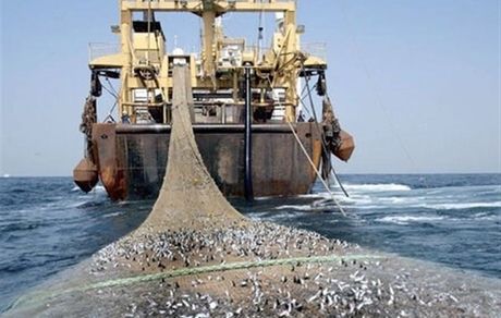 توقیف دو فروند کشتی متخلف صید ترال 