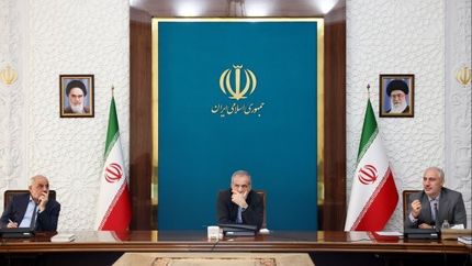تاکید رئیس جمهور بر خرید یکجا و کلی پنل‌های خورشیدی