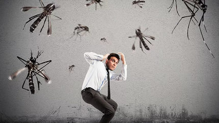 تغییر صابون راهکاری برای جلوگیری از نیش پشه