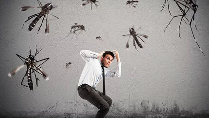 تغییر صابون راهکاری برای جلوگیری از نیش پشه