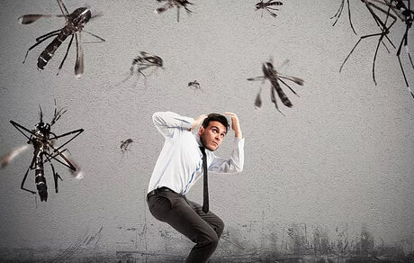 تغییر صابون راهکاری برای جلوگیری از نیش پشه