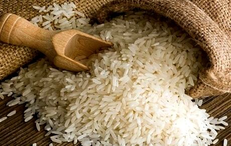 فعلا صادرات برنج ممنوع است