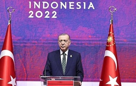 اردوغان یونان را تهدید کرد: می‌توانیم یک شب بیاییم