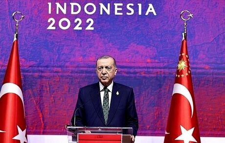اردوغان یونان را تهدید کرد: می‌توانیم یک شب بیاییم