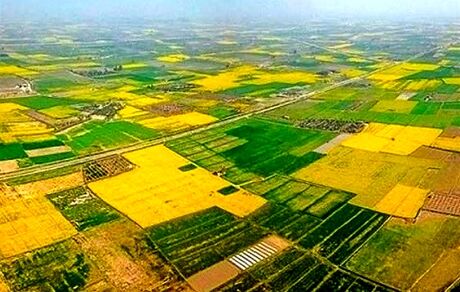 ۷۰ درصد اراضی کشاورزی سنددار شدند