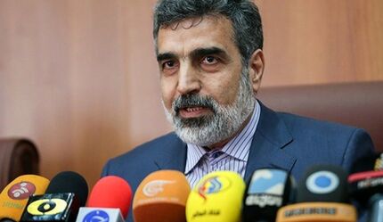 کمالوندی: تحریم صالحی، ایران را برای محکم‌تر برداشتن گام‌های هسته‌ای مصمم می‌کند
