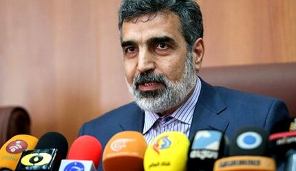 کمالوندی: تحریم صالحی، ایران را برای محکم‌تر برداشتن گام‌های هسته‌ای مصمم می‌کند
