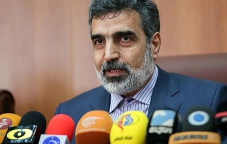 کمالوندی: تحریم صالحی، ایران را برای محکم‌تر برداشتن گام‌های هسته‌ای مصمم می‌کند
