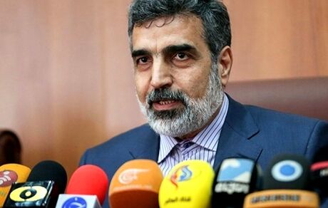 کمالوندی: تحریم صالحی، ایران را برای محکم‌تر برداشتن گام‌های هسته‌ای مصمم می‌کند
