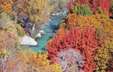 ایجاد کمیته آزادسازی رودخانه کرج/۱۶ دستگاه دولتی و عمومی حریم و بستر رودخانه کرج را تصرف کرده‌اند