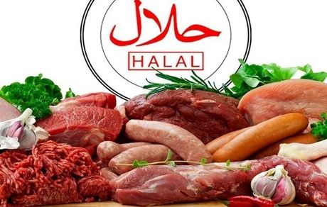 تفاهم‌نامه حلال ایران با ۱۴ کشور غیرمسلمان